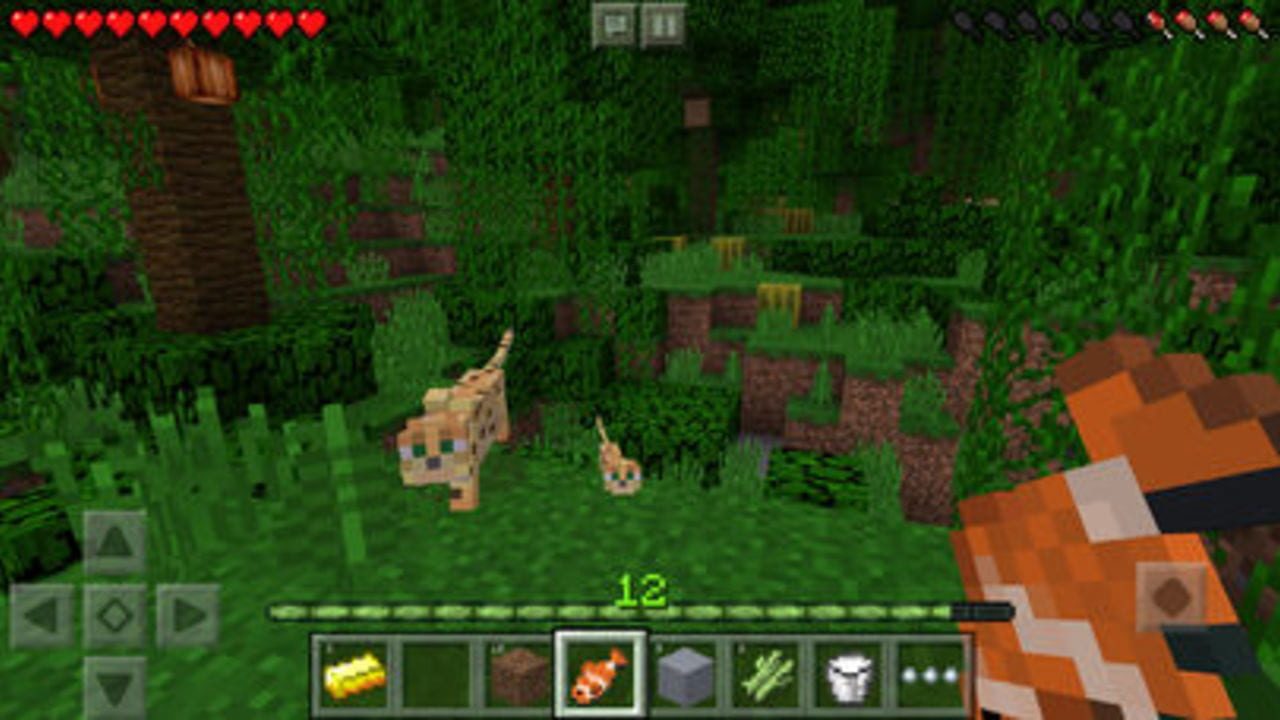 Screenshots von Minecraft