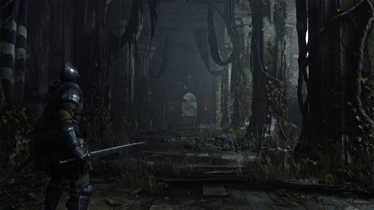 Screenshots von Demon's Souls
